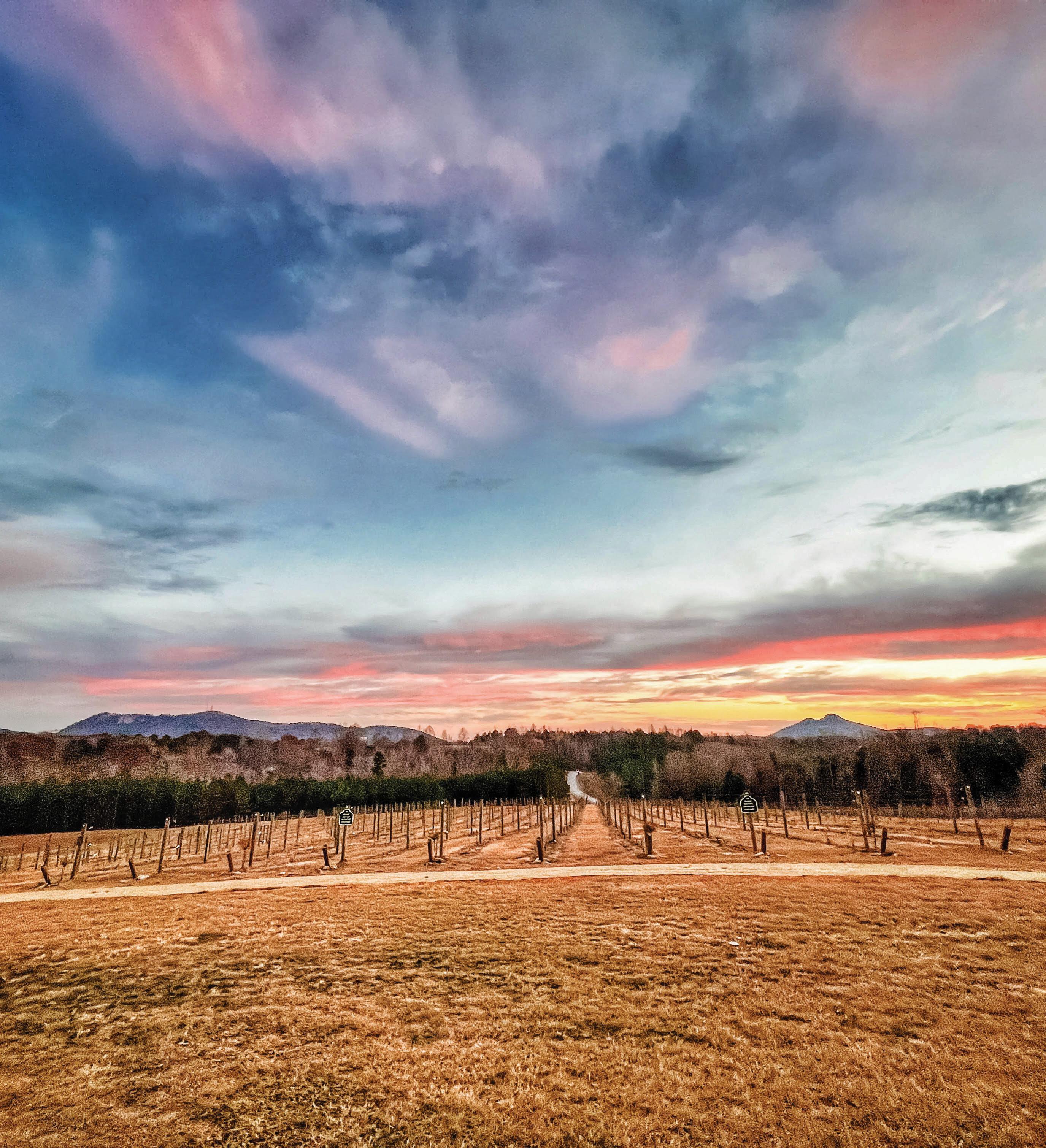 Blue Ridge Outdoors December '22 - January '23 by Summit ...