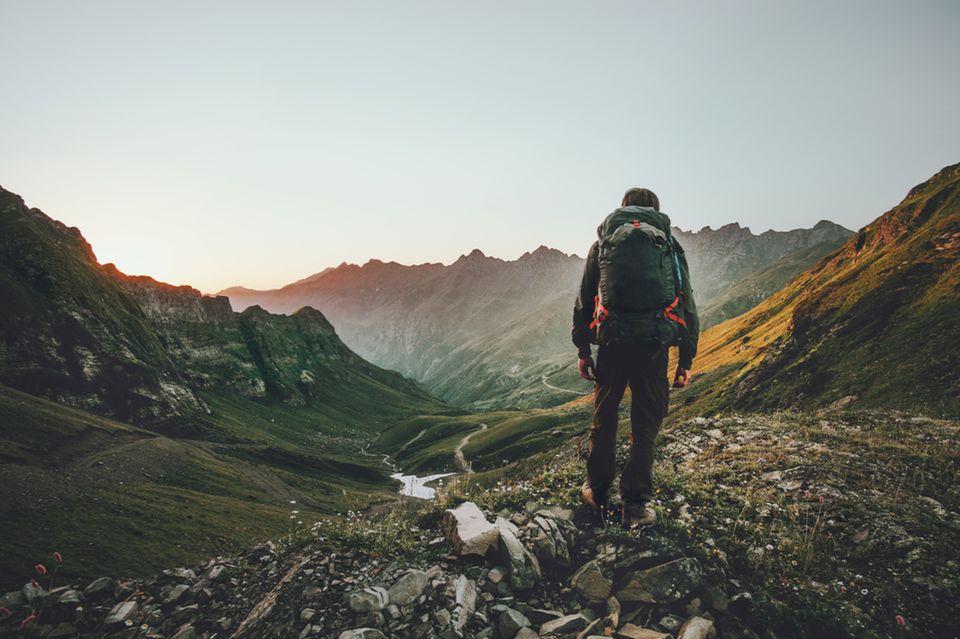 everest / Shutterstock